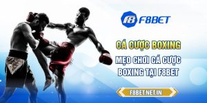 Khám Phá Thế Giới Cá Cược Trực Tuyến Với F8bet - Nơi Giải Trí Và Phát Triển Trí Tuệ Vượt Trội